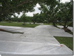 反射マルチシート-1