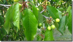 2013.05.09takasago-2