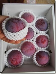 貴陽（中）2Kg-3